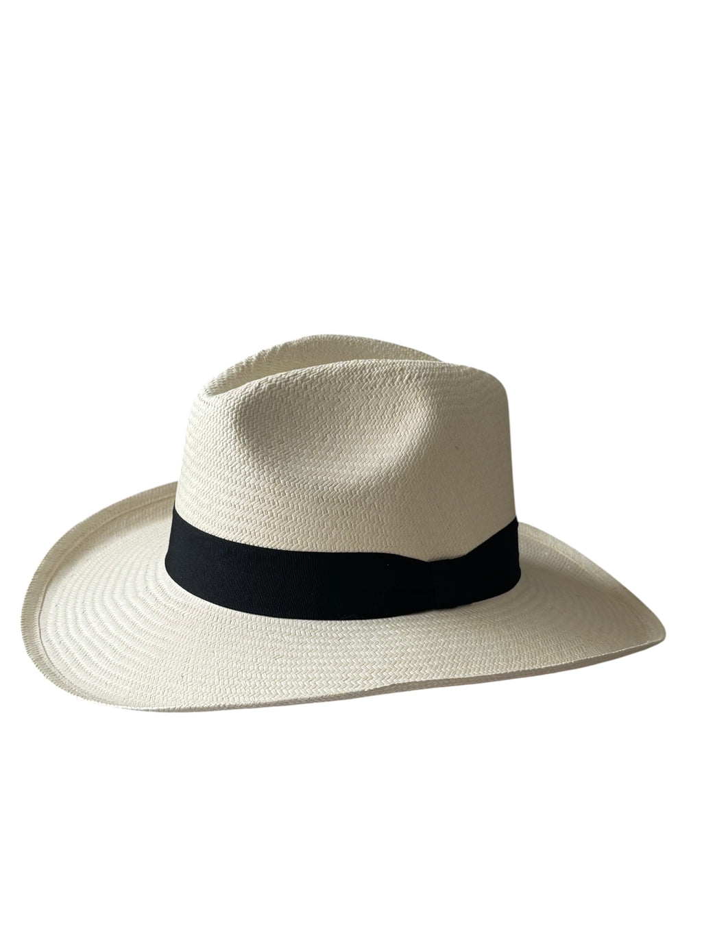 Cacique borsalino