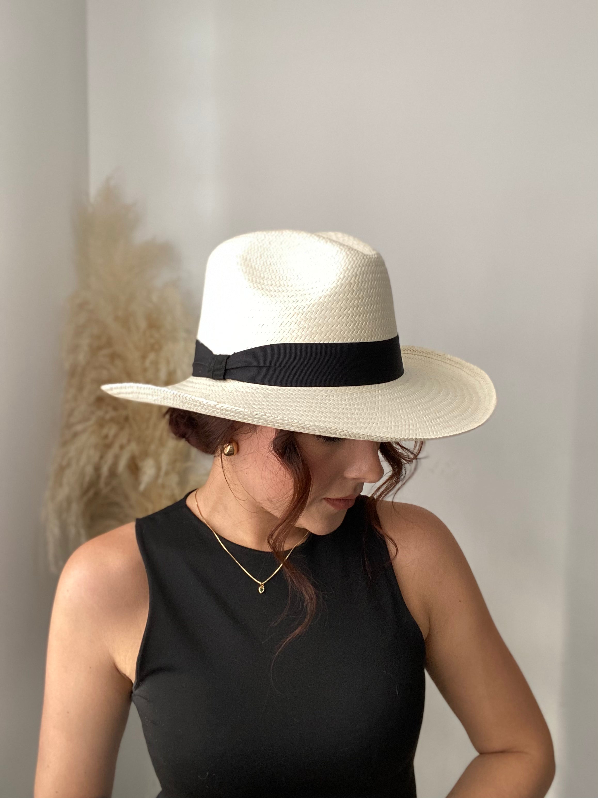 Cacique borsalino