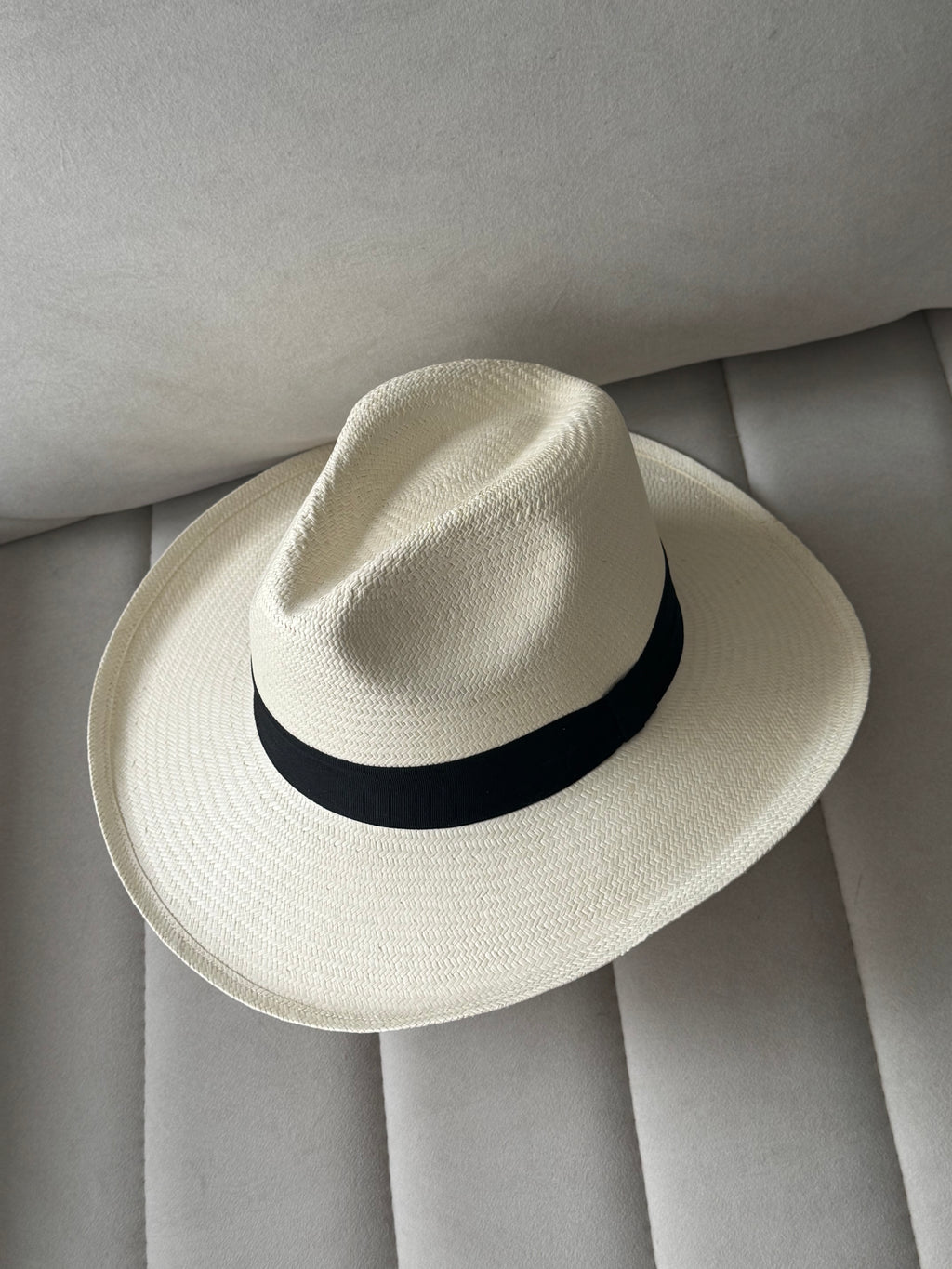 Cacique borsalino
