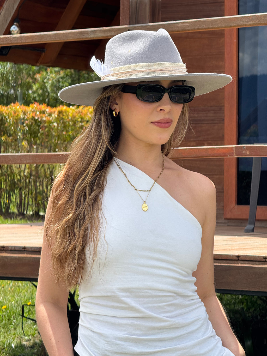 Fedora gris pluma