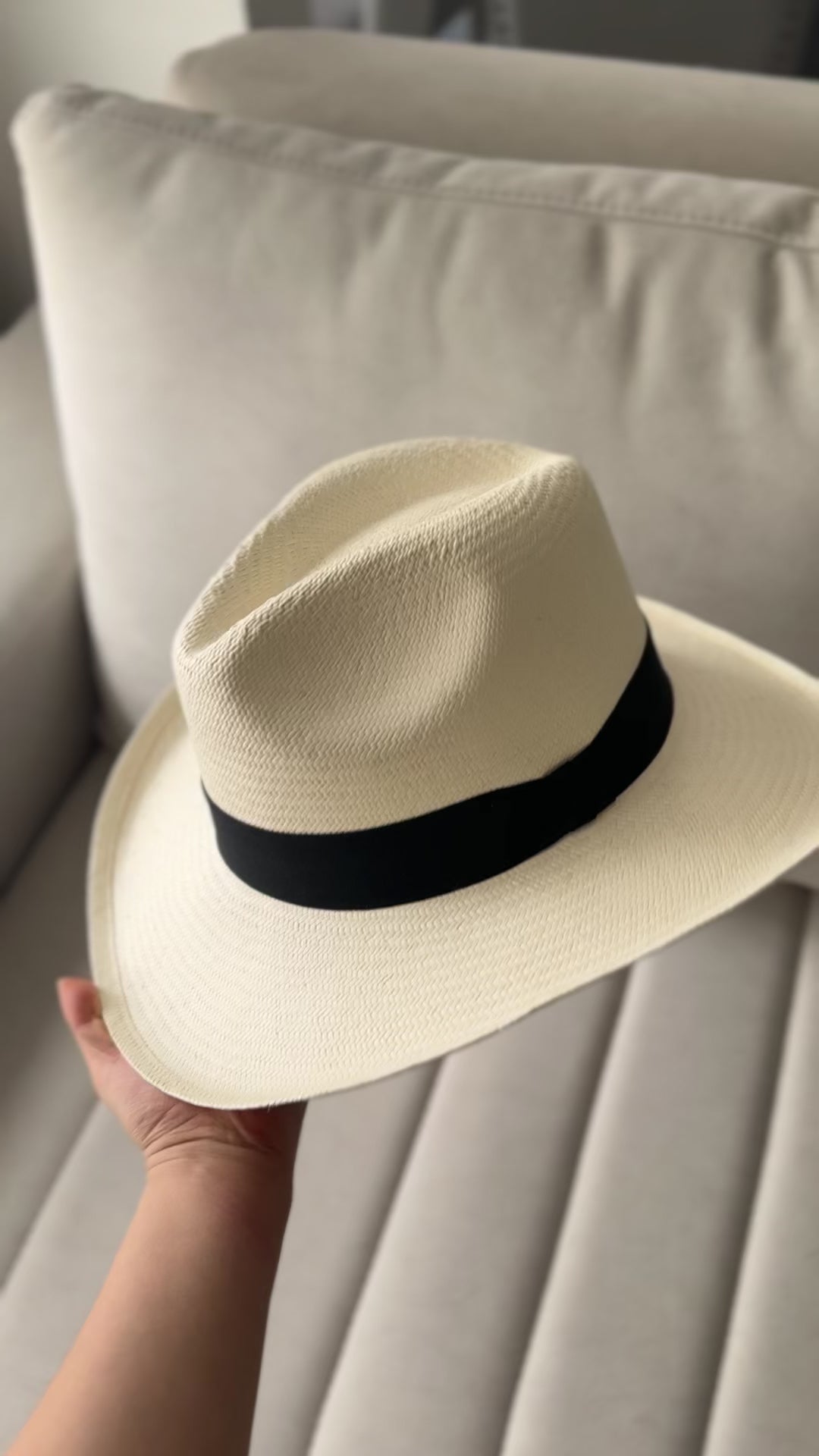 Cacique borsalino